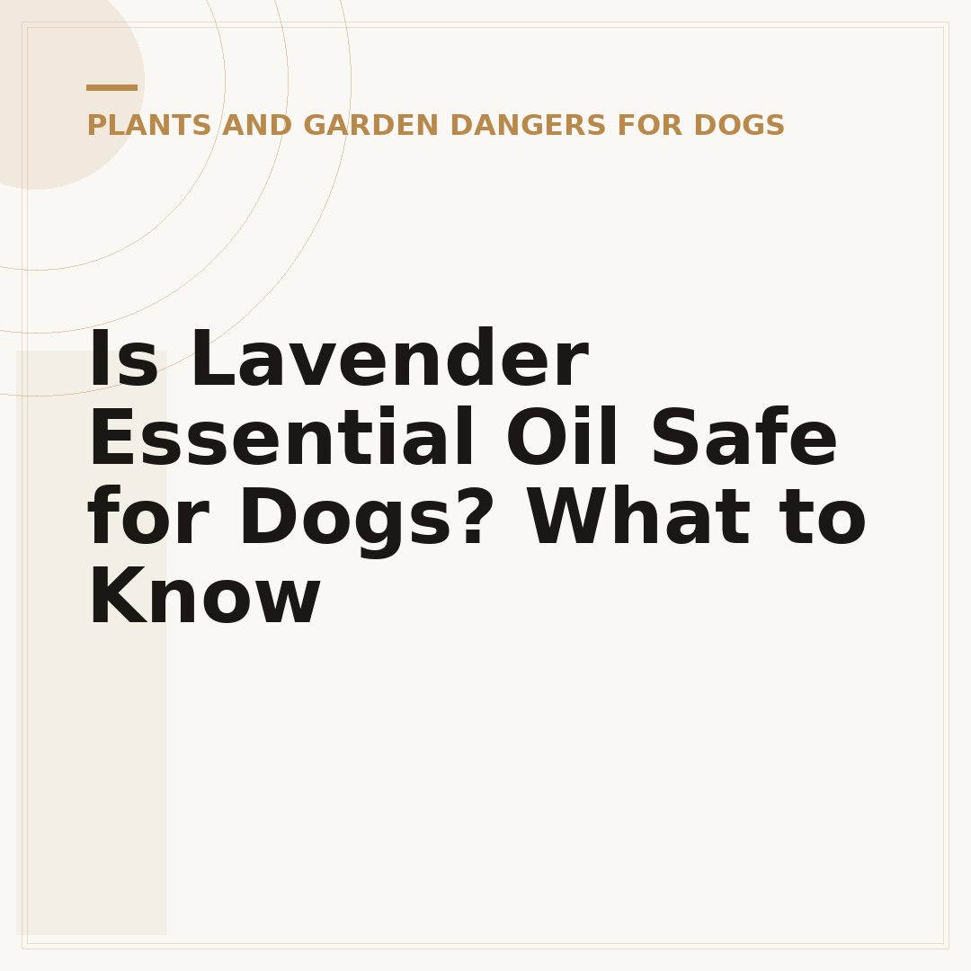 Is Lavender Essential Oil Safe for Dogs? What to Know