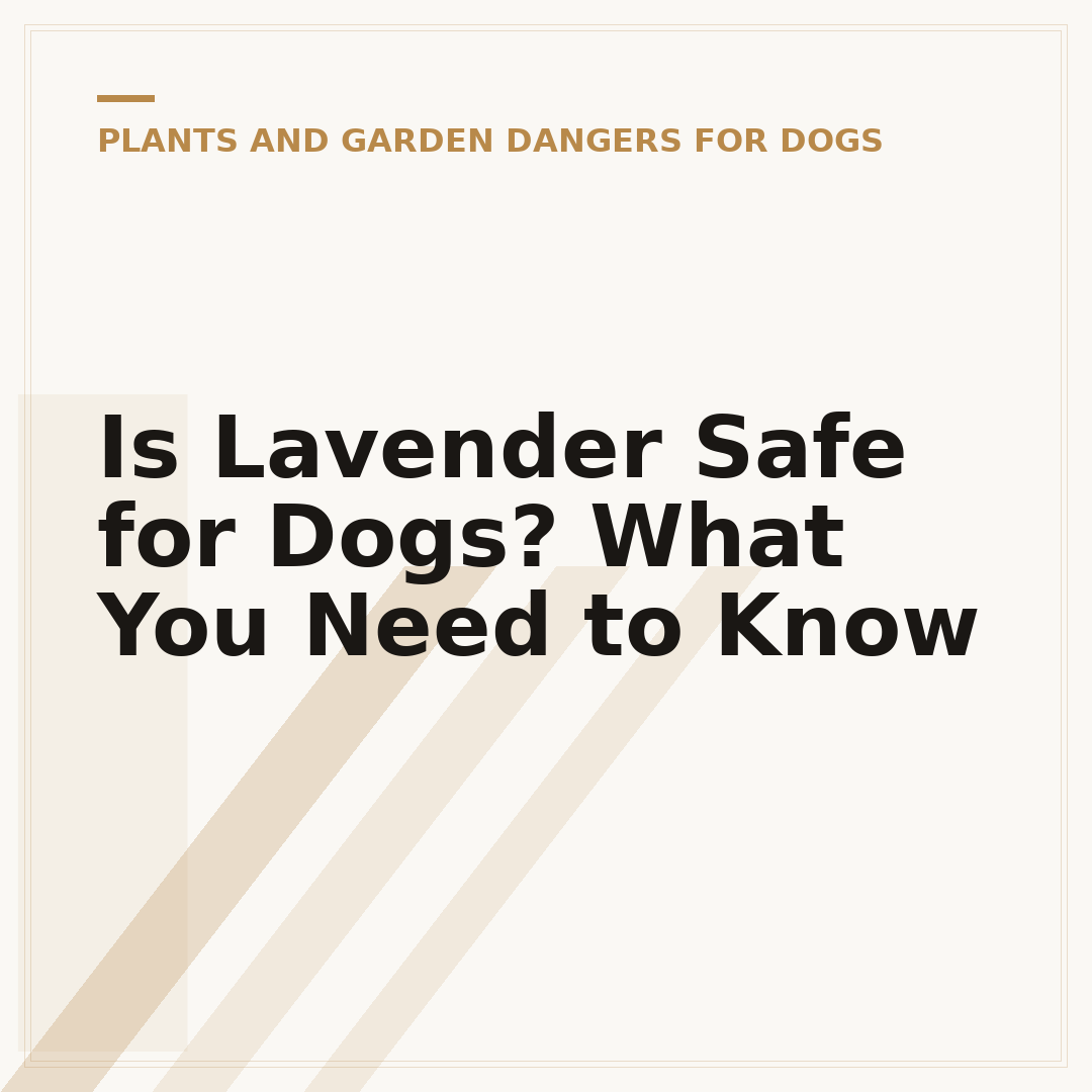 Is Lavender Safe for Dogs? What You Need to Know