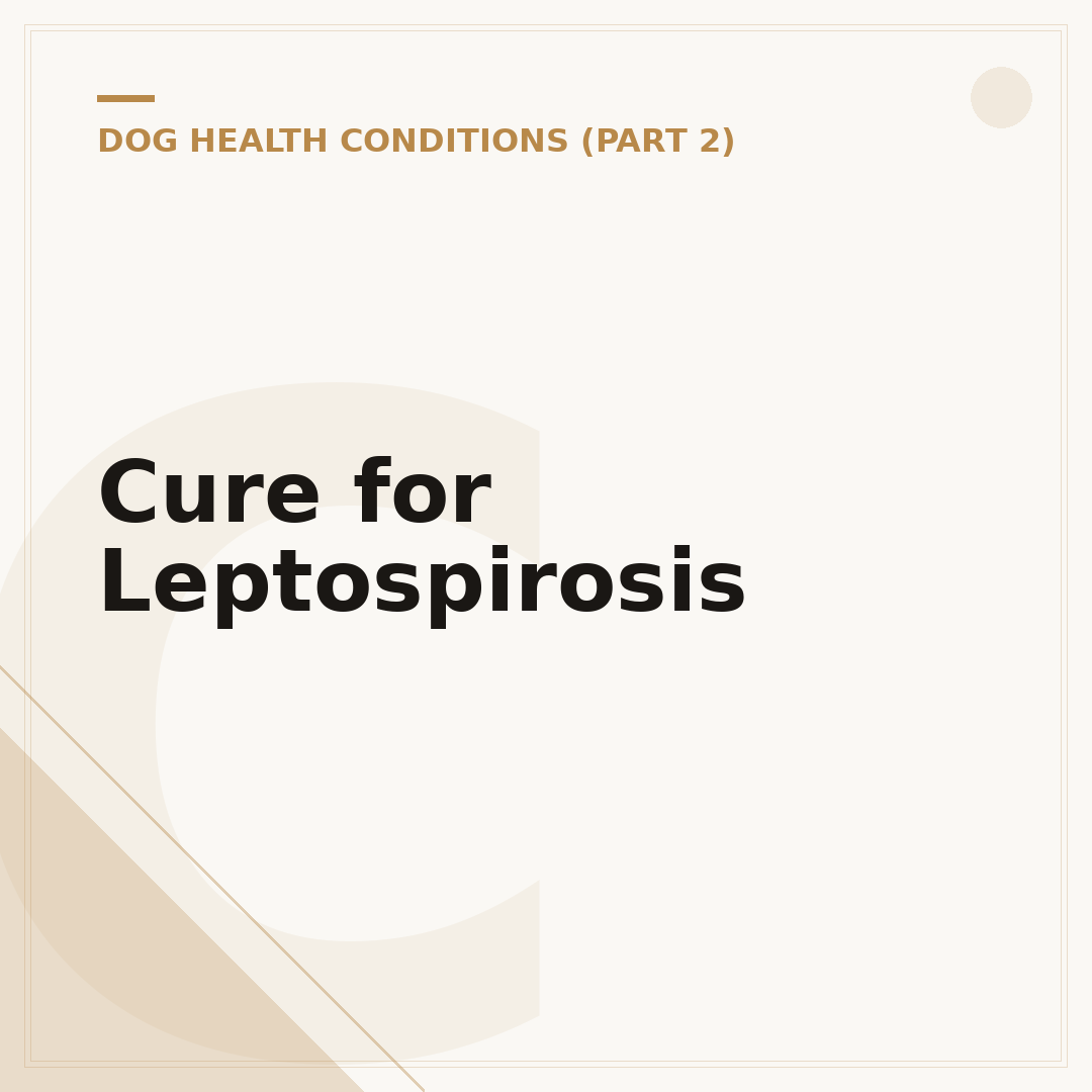 Cure for Leptospirosis