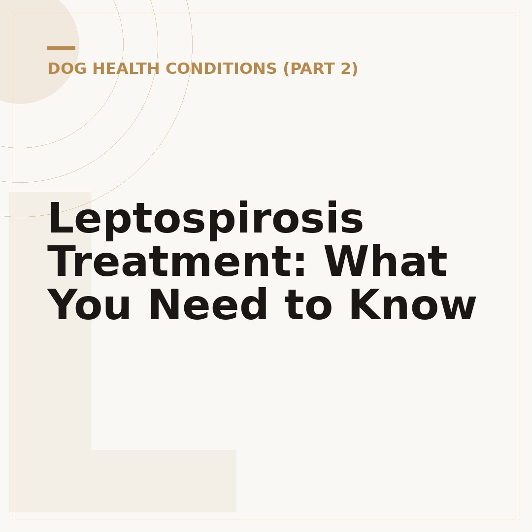 Leptospirosis Treatment: What You Need to Know
