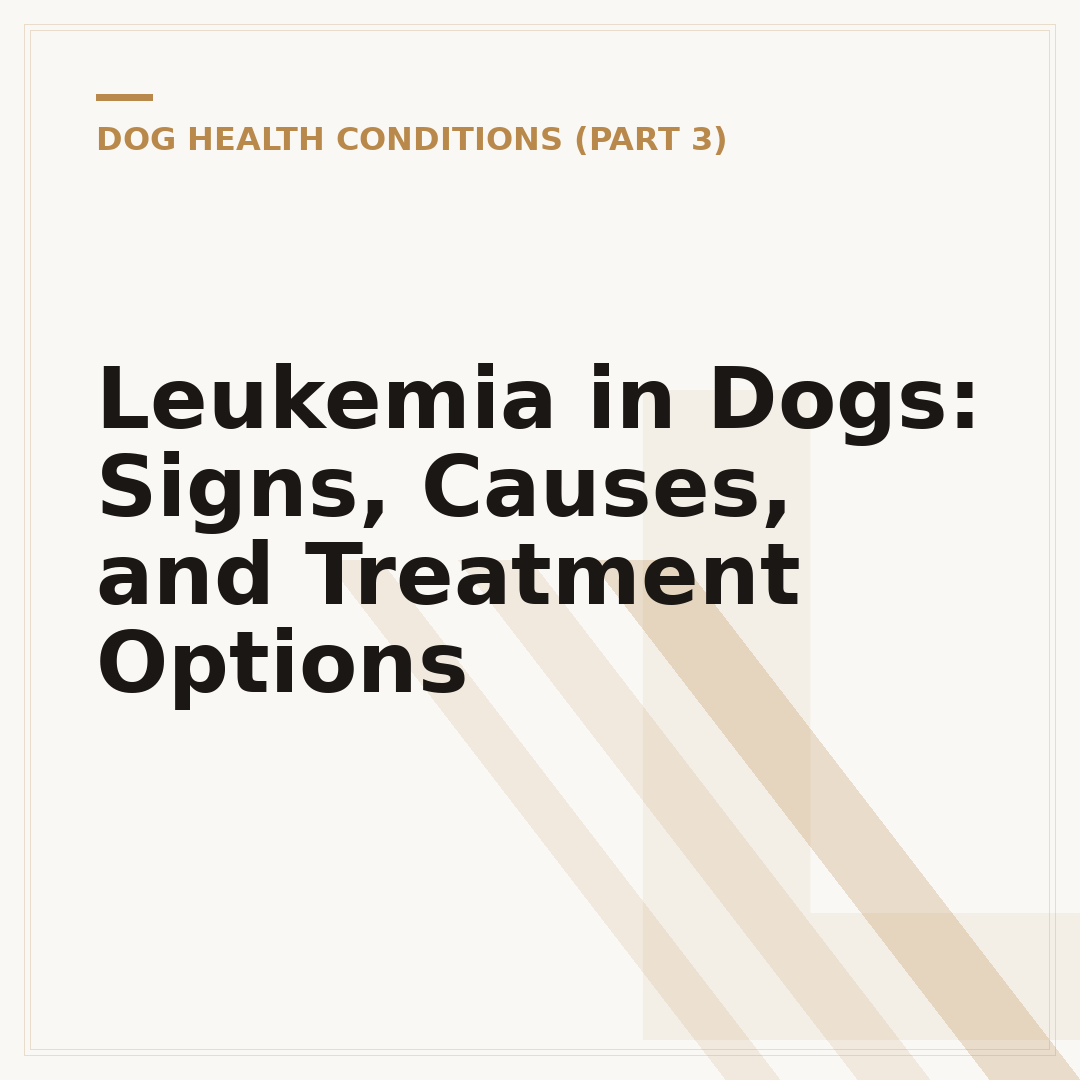 Leukemia in Dogs: Signs, Causes, and Treatment Options