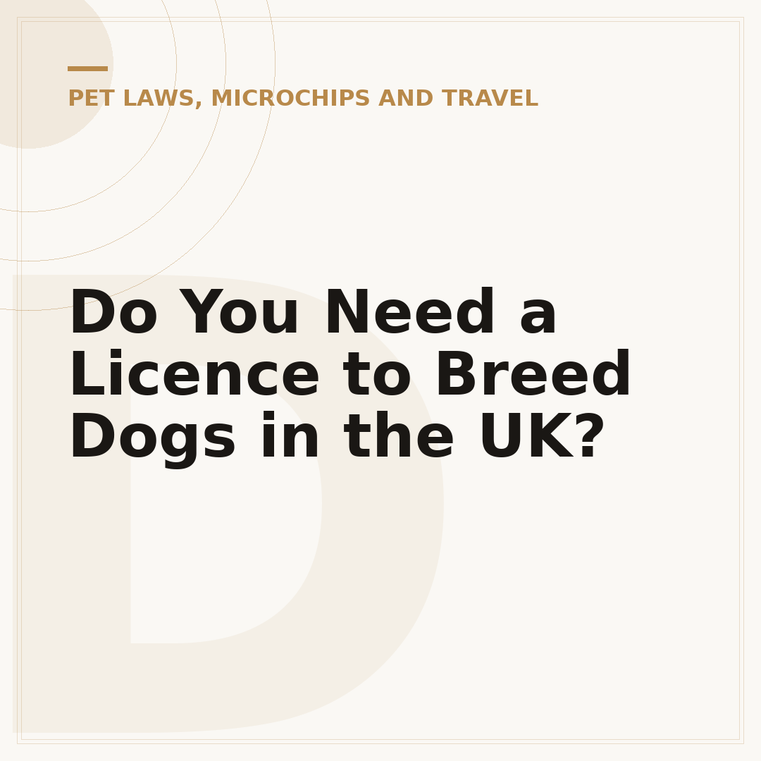 Do You Need a Licence to Breed Dogs in the UK?