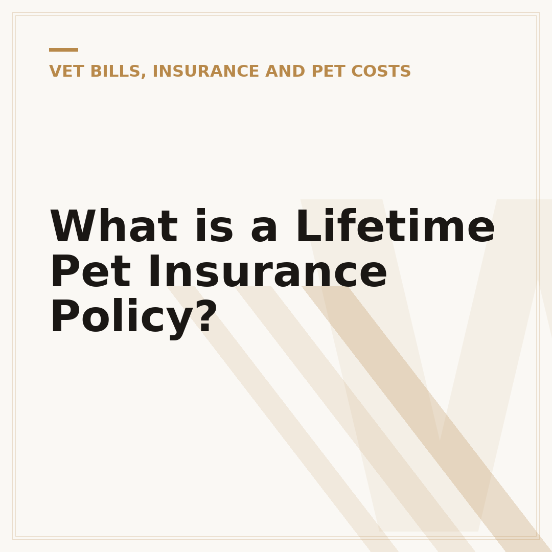 What is a Lifetime Pet Insurance Policy?