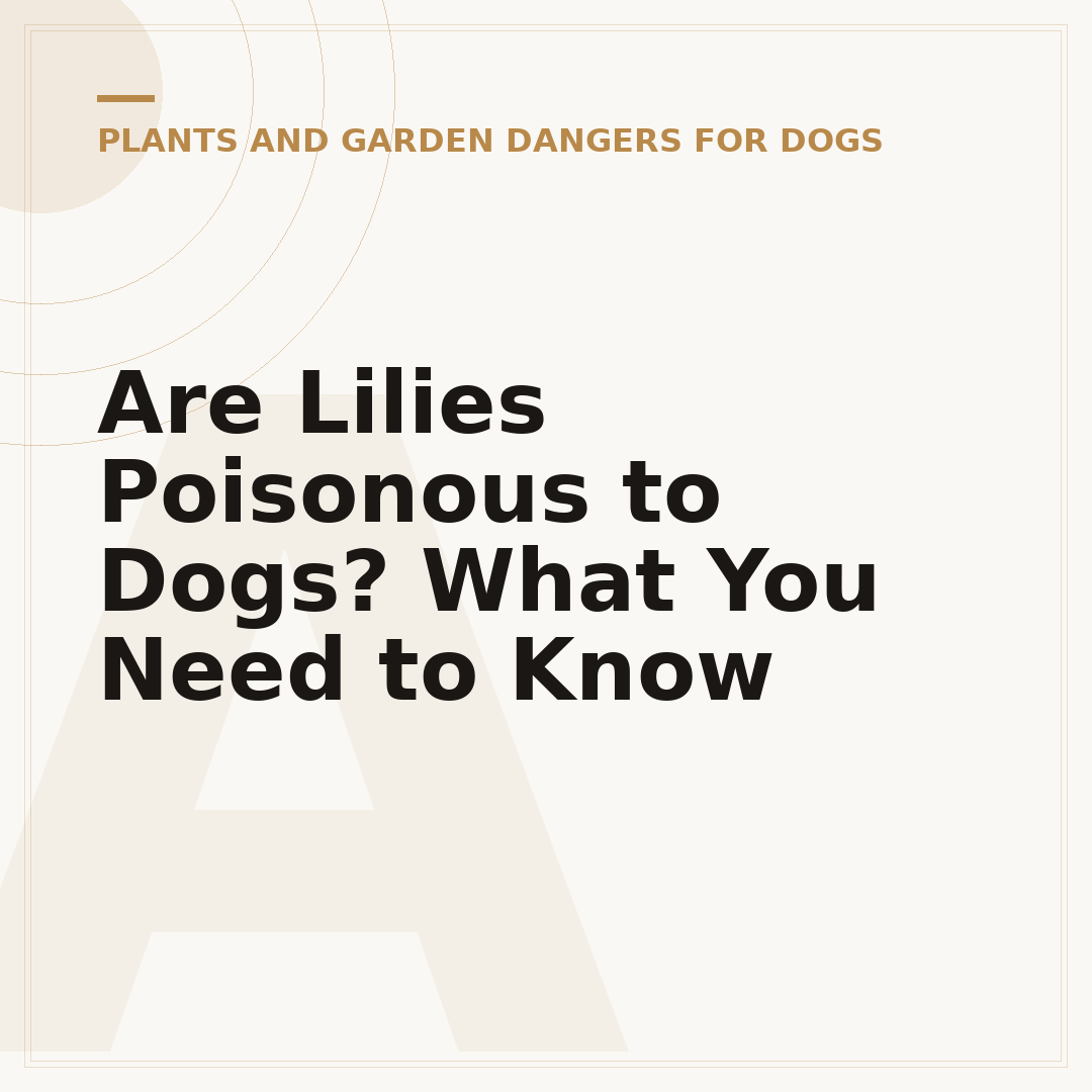 Are Lilies Poisonous to Dogs? What You Need to Know