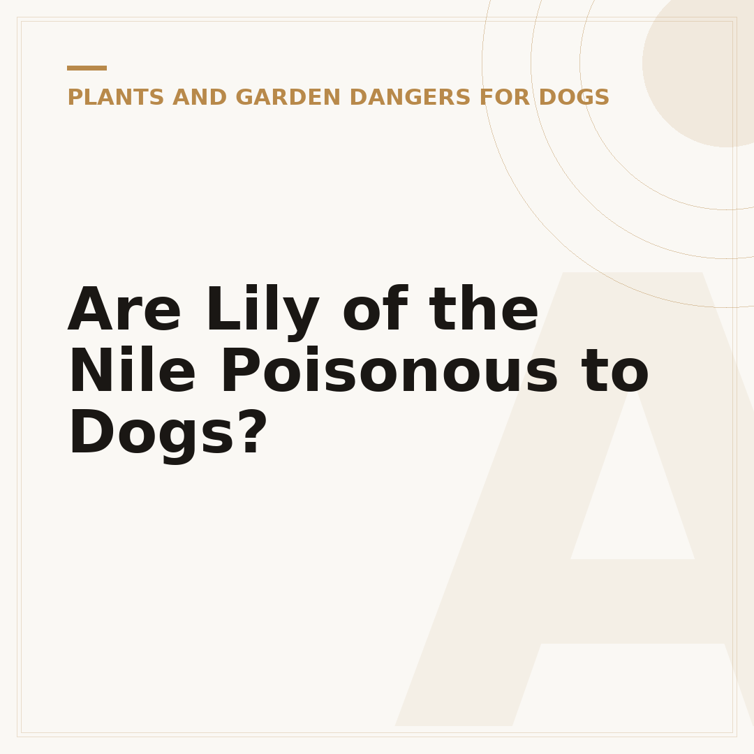 Are Lily of the Nile Poisonous to Dogs?
