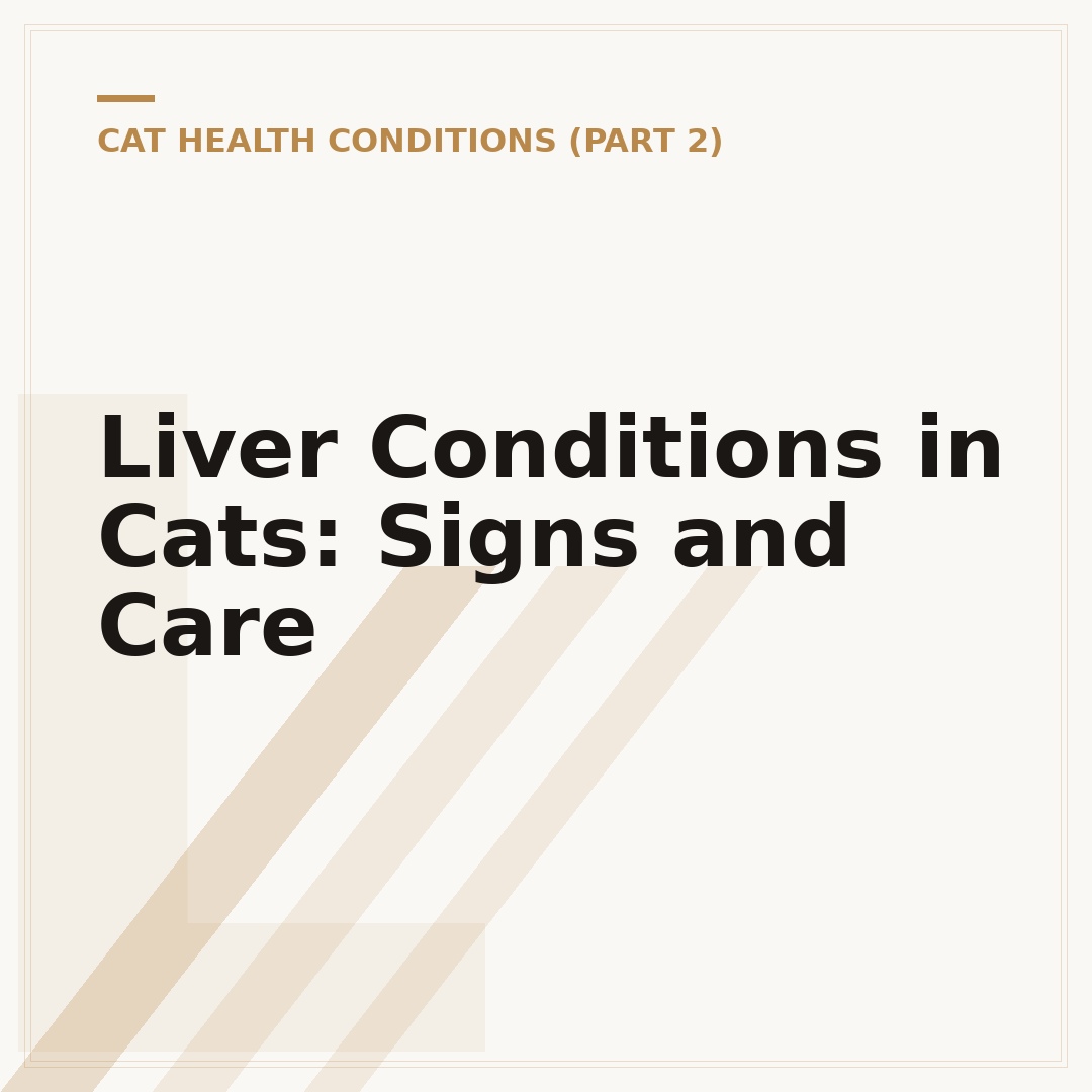 Liver Conditions in Cats: Signs and Care