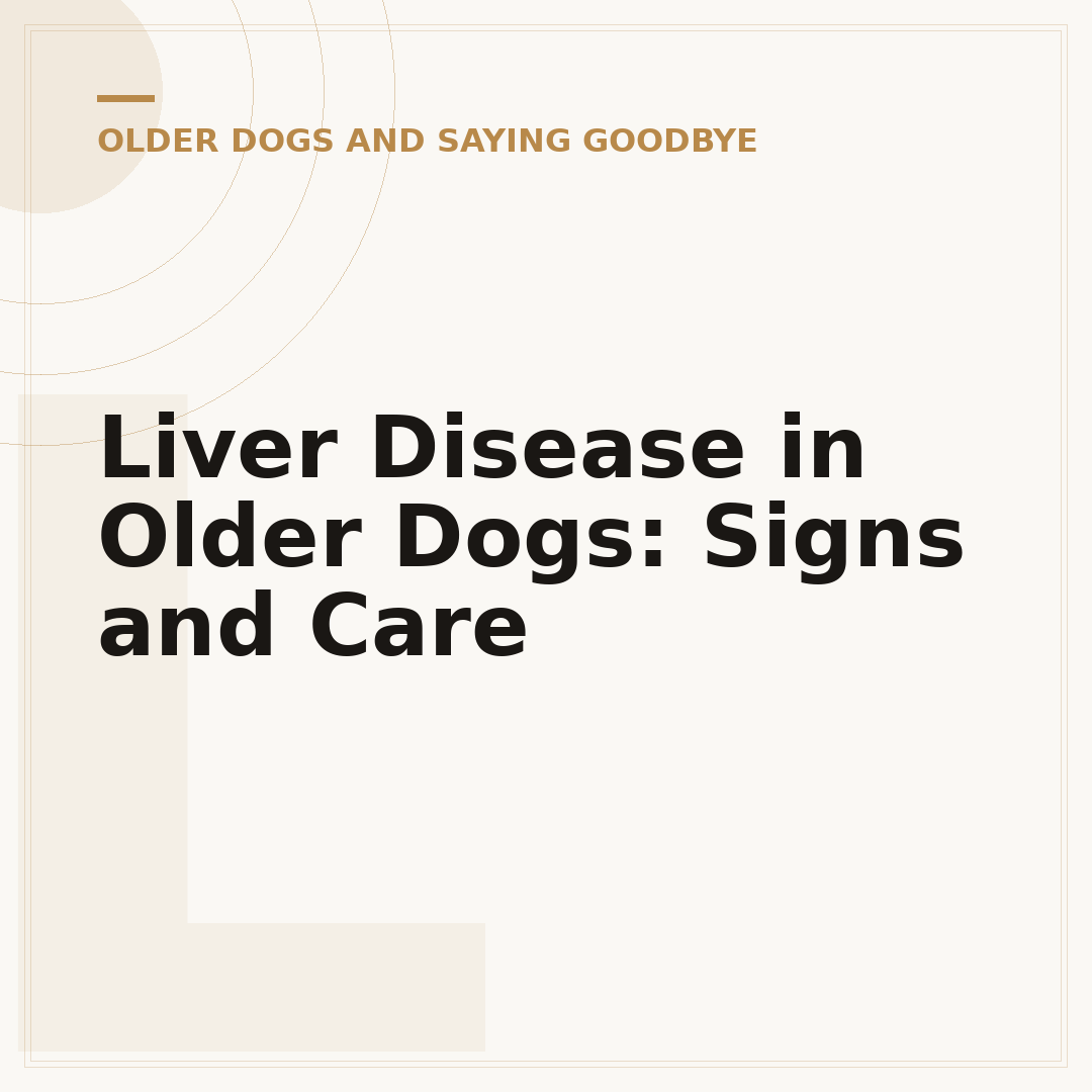 Liver Disease in Older Dogs: Signs and Care