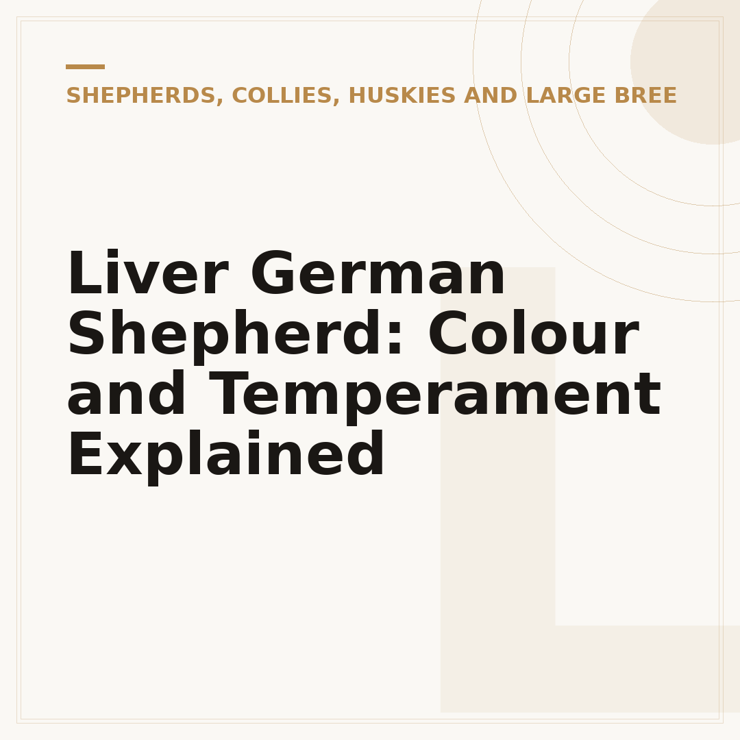 Liver German Shepherd: Colour and Temperament Explained