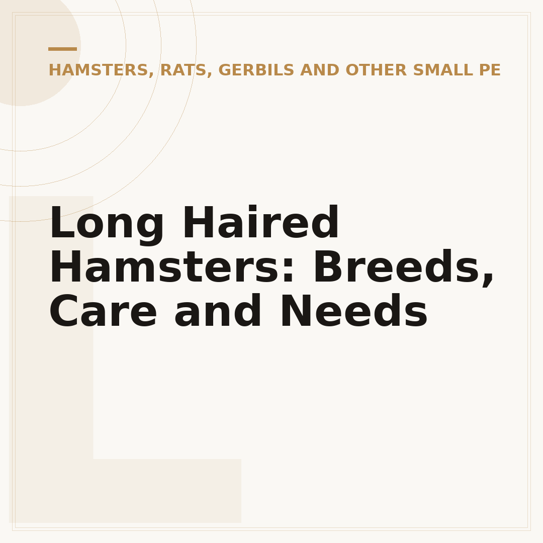Long Haired Hamsters: Breeds, Care and Needs