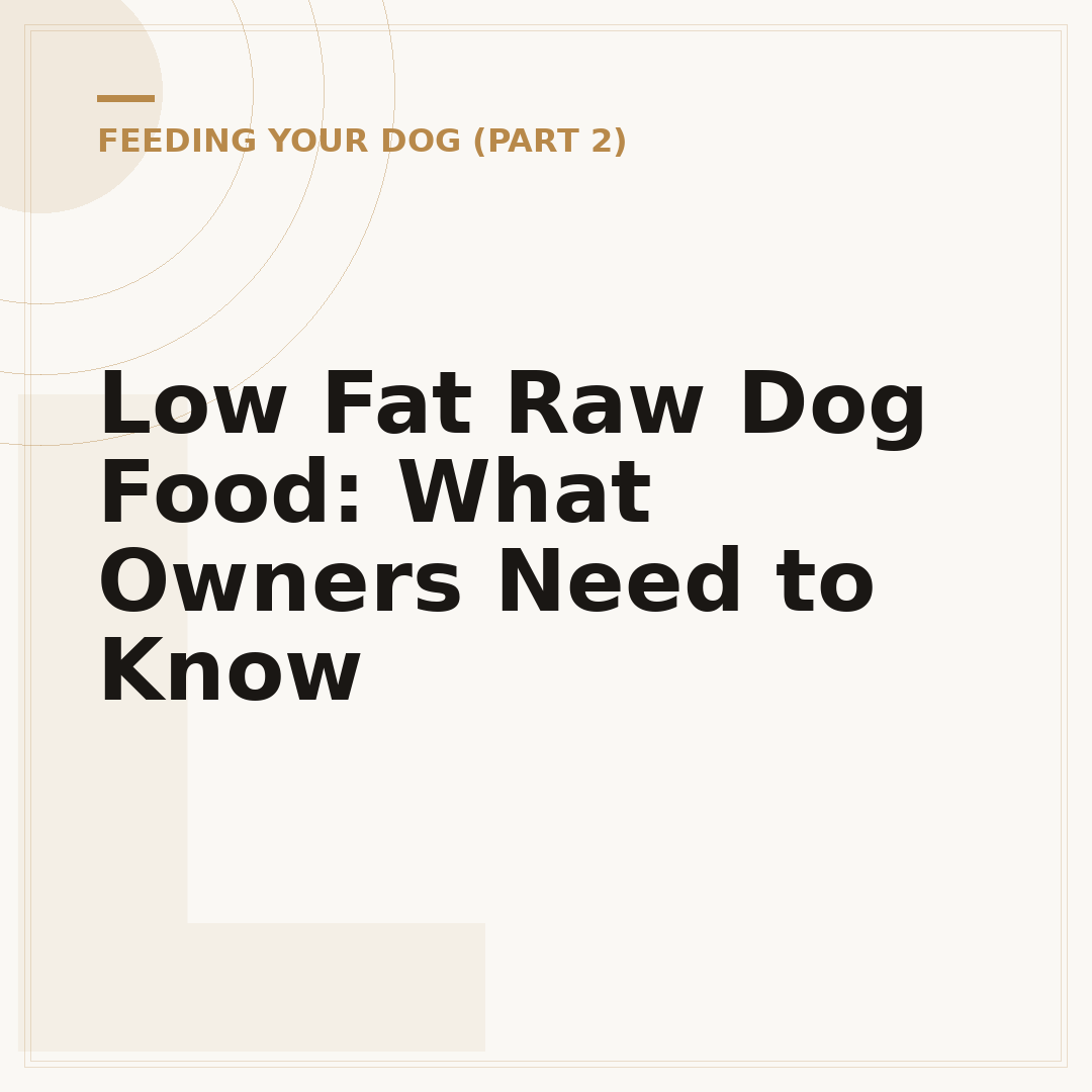 Low Fat Raw Dog Food: What Owners Need to Know