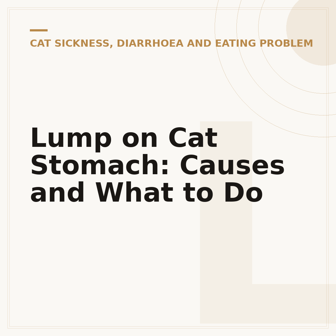 Lump on Cat Stomach: Causes and What to Do