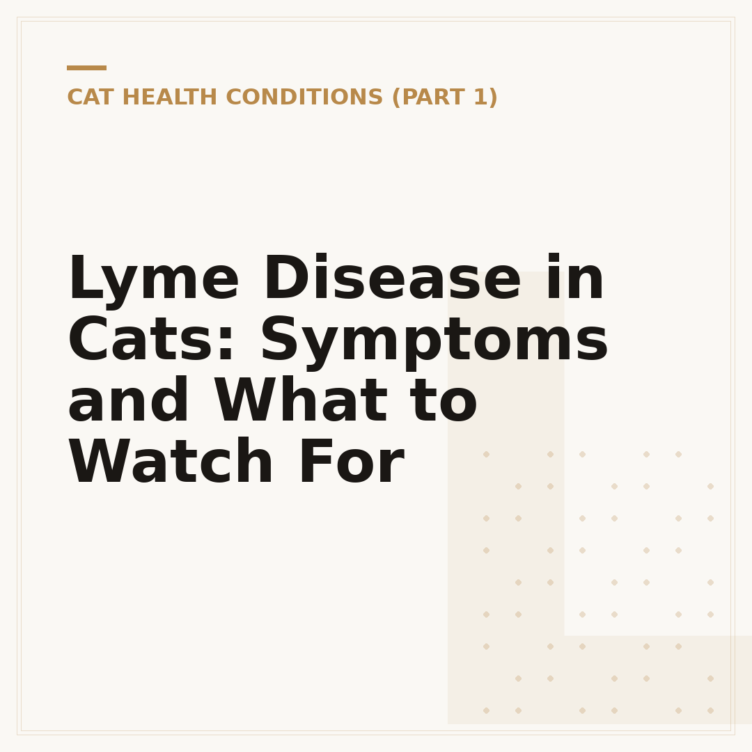 Lyme Disease in Cats: Symptoms and What to Watch For