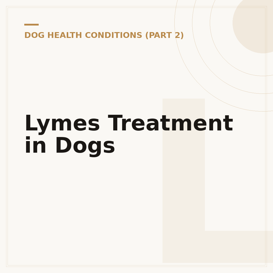 Lymes Treatment in Dogs