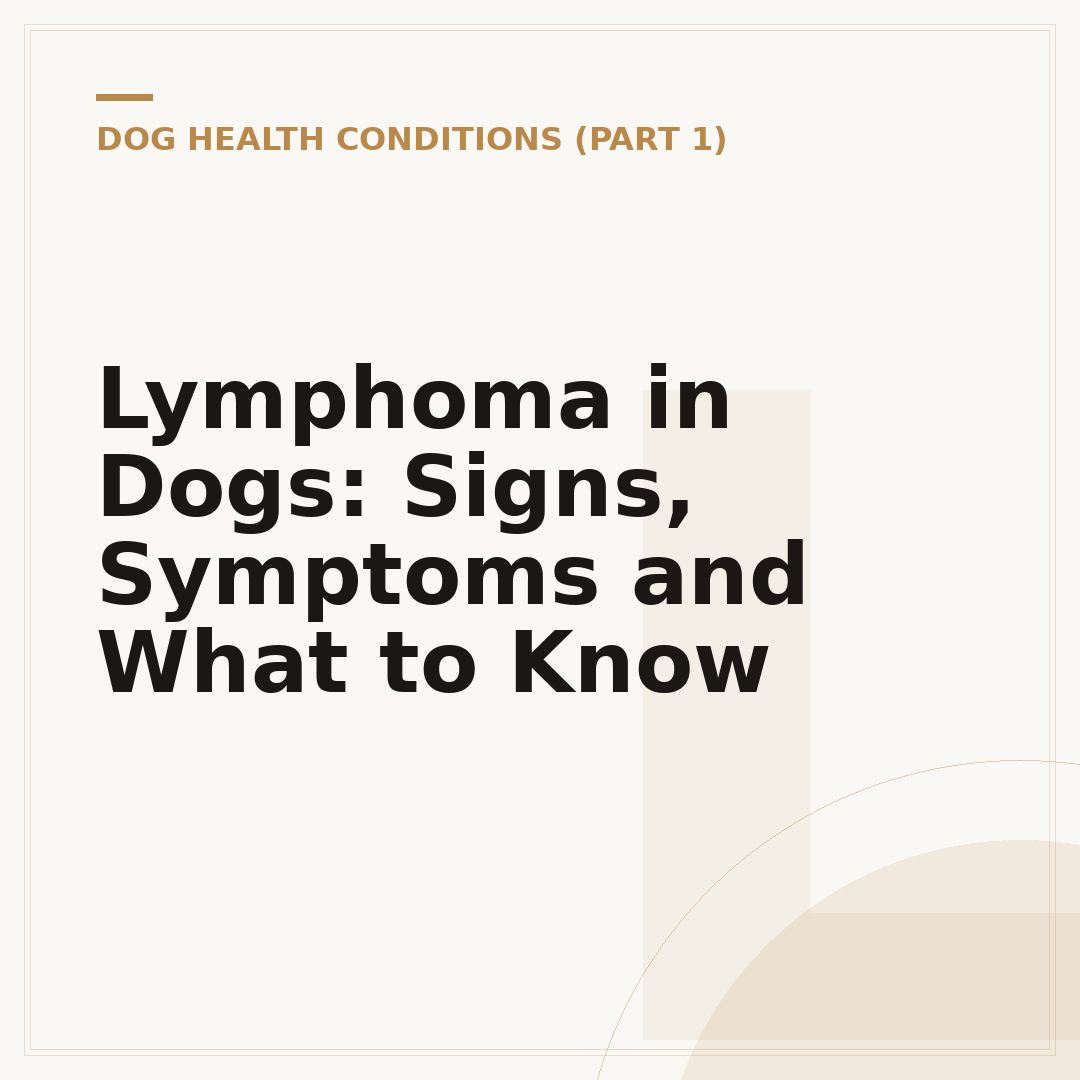 Lymphoma in Dogs: Signs, Symptoms and What to Know