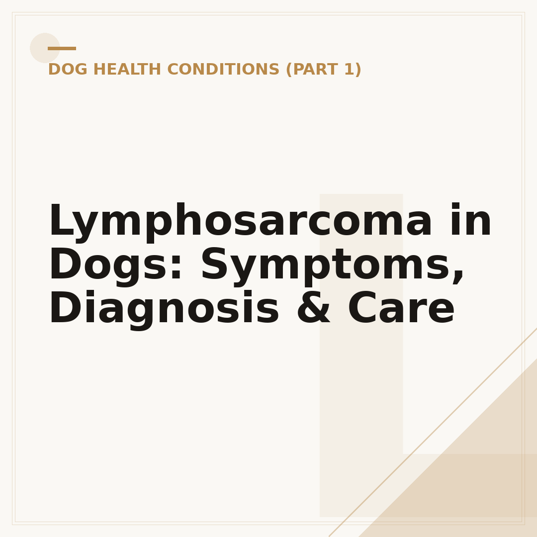 Lymphosarcoma in Dogs: Symptoms, Diagnosis & Care
