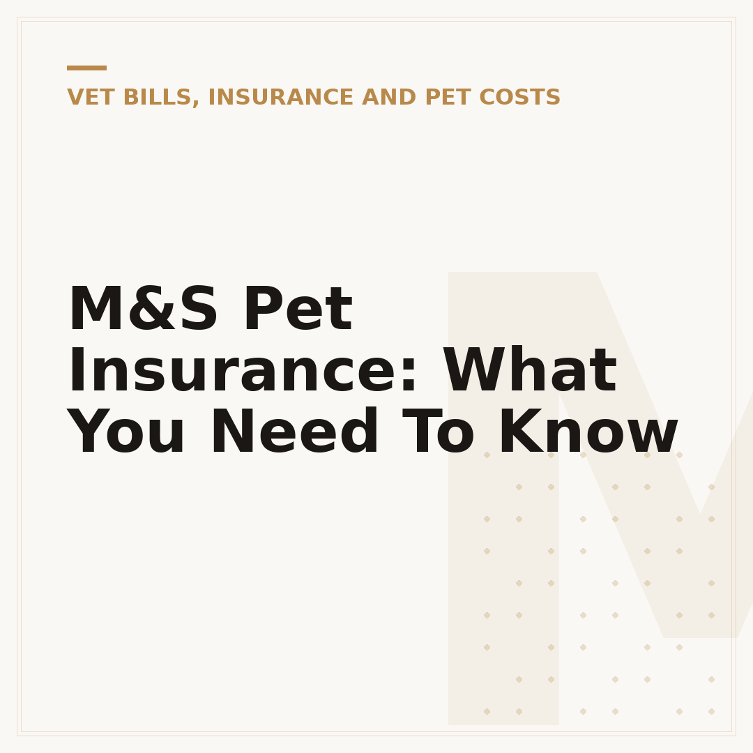 M&S Pet Insurance: What You Need To Know