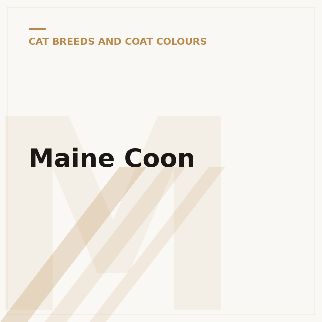 Maine Coon