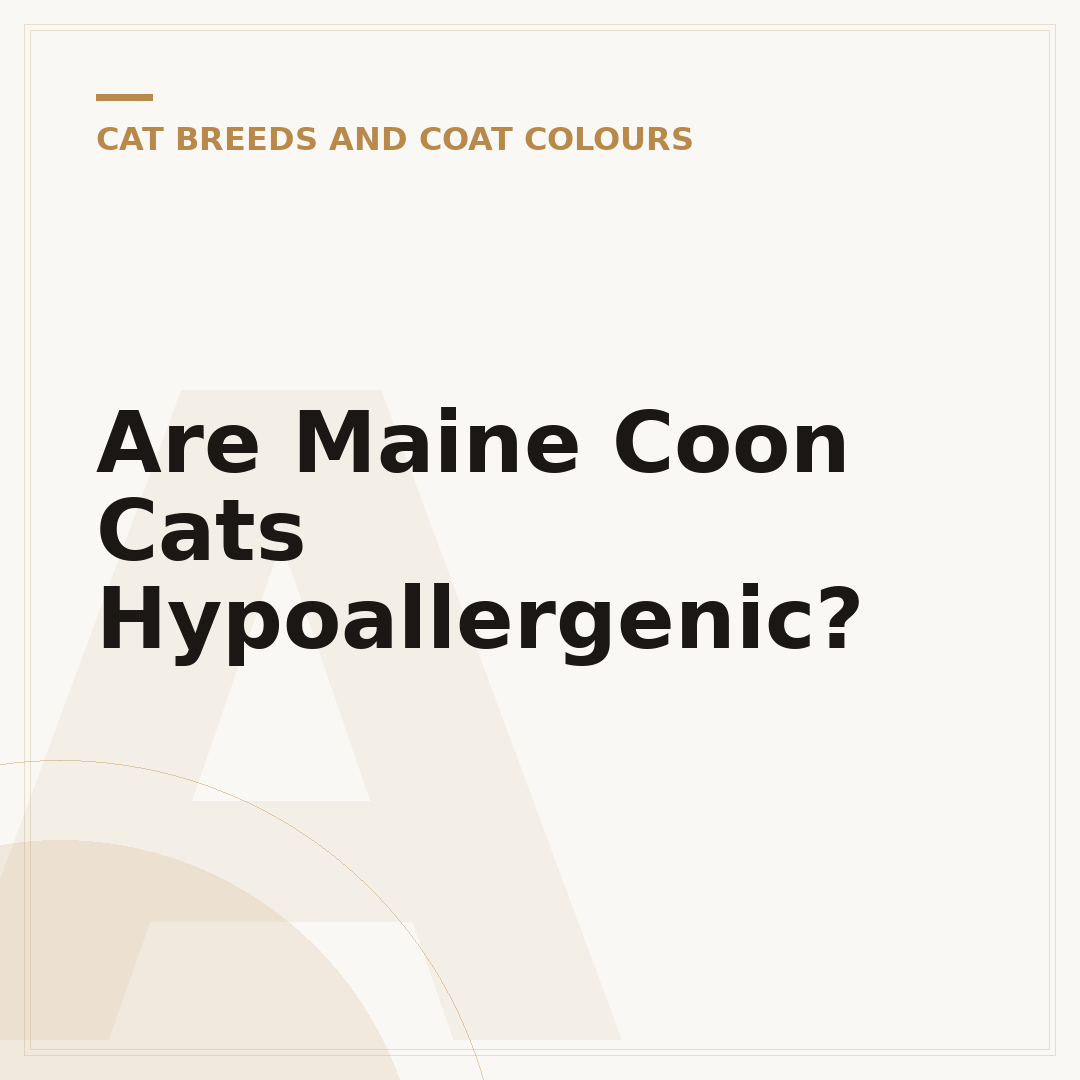 Are Maine Coon Cats Hypoallergenic?