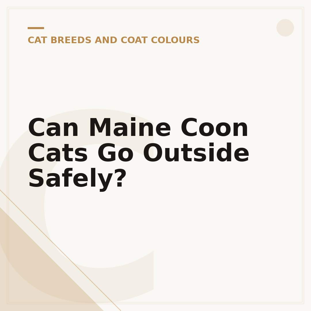 Can Maine Coon Cats Go Outside Safely?