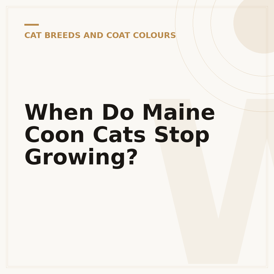 When Do Maine Coon Cats Stop Growing?