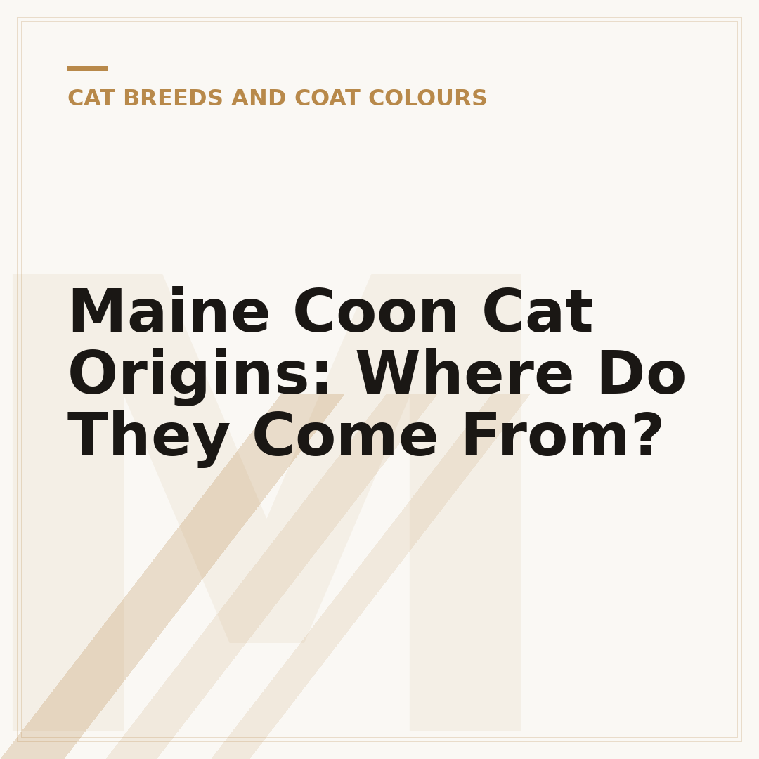 Maine Coon Cat Origins: Where Do They Come From?
