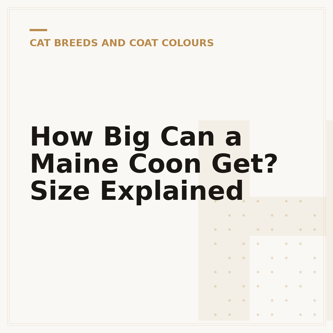 How Big Can a Maine Coon Get? Size Explained