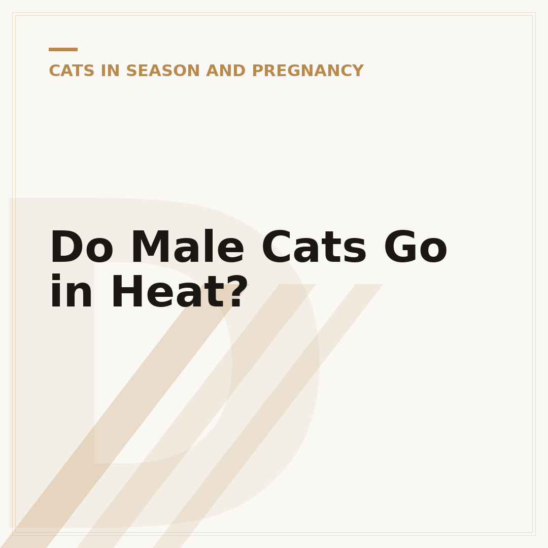 Do Male Cats Go in Heat?