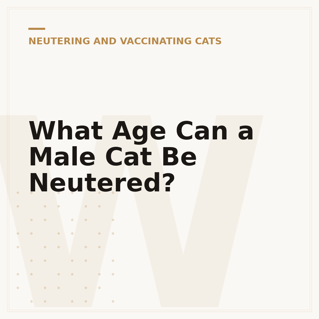 What Age Can a Male Cat Be Neutered?
