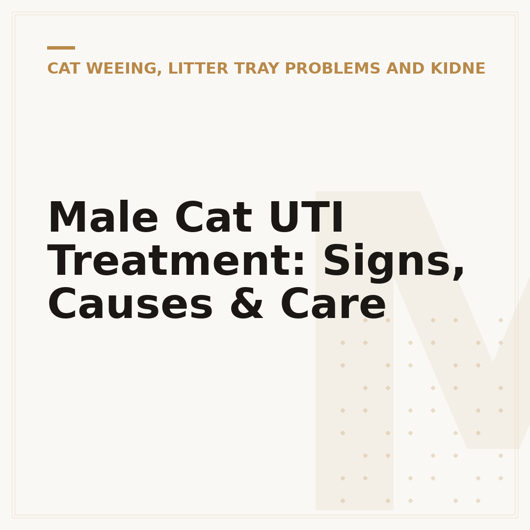 Male Cat UTI Treatment: Signs, Causes & Care