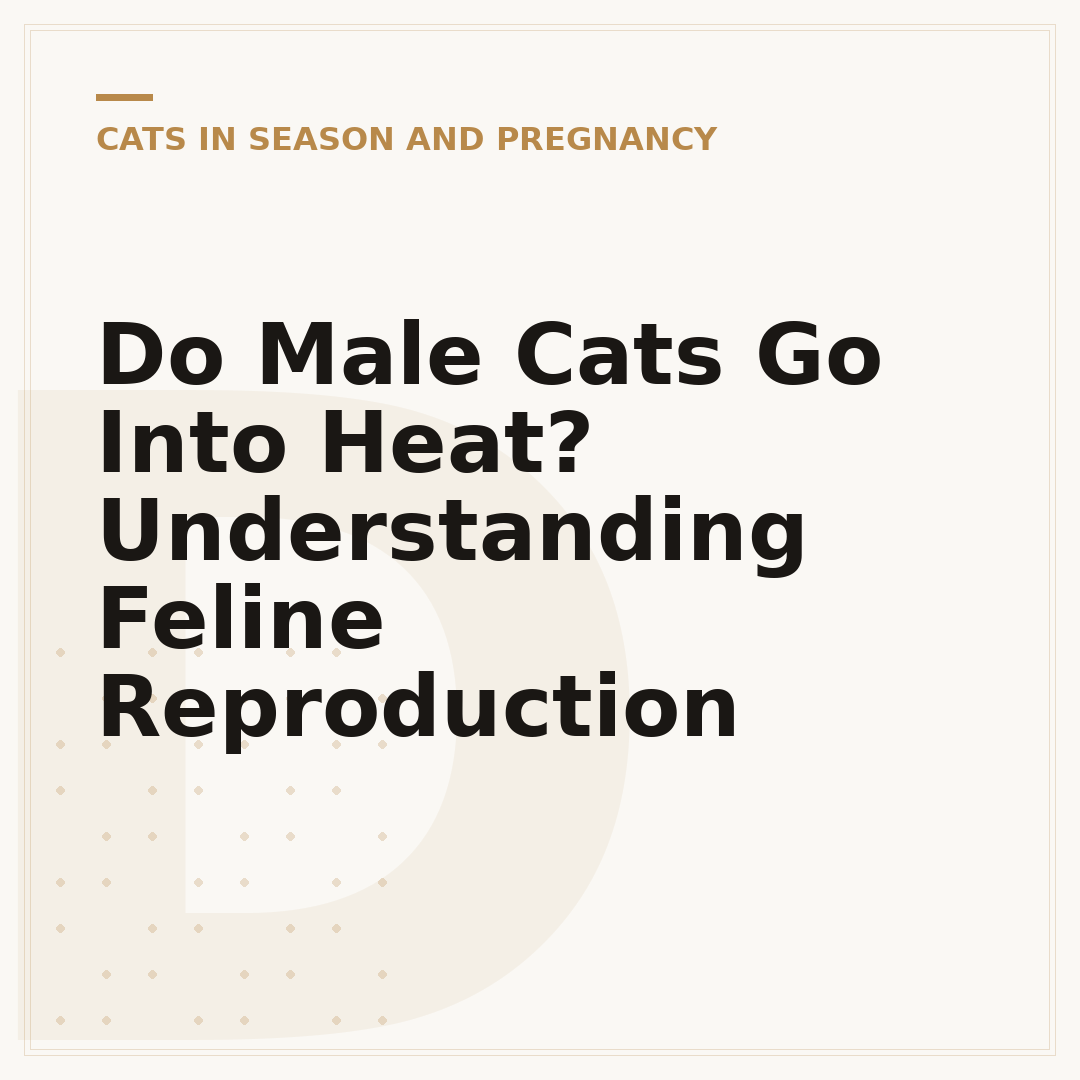 Do Male Cats Go Into Heat? Understanding Feline Reproduction