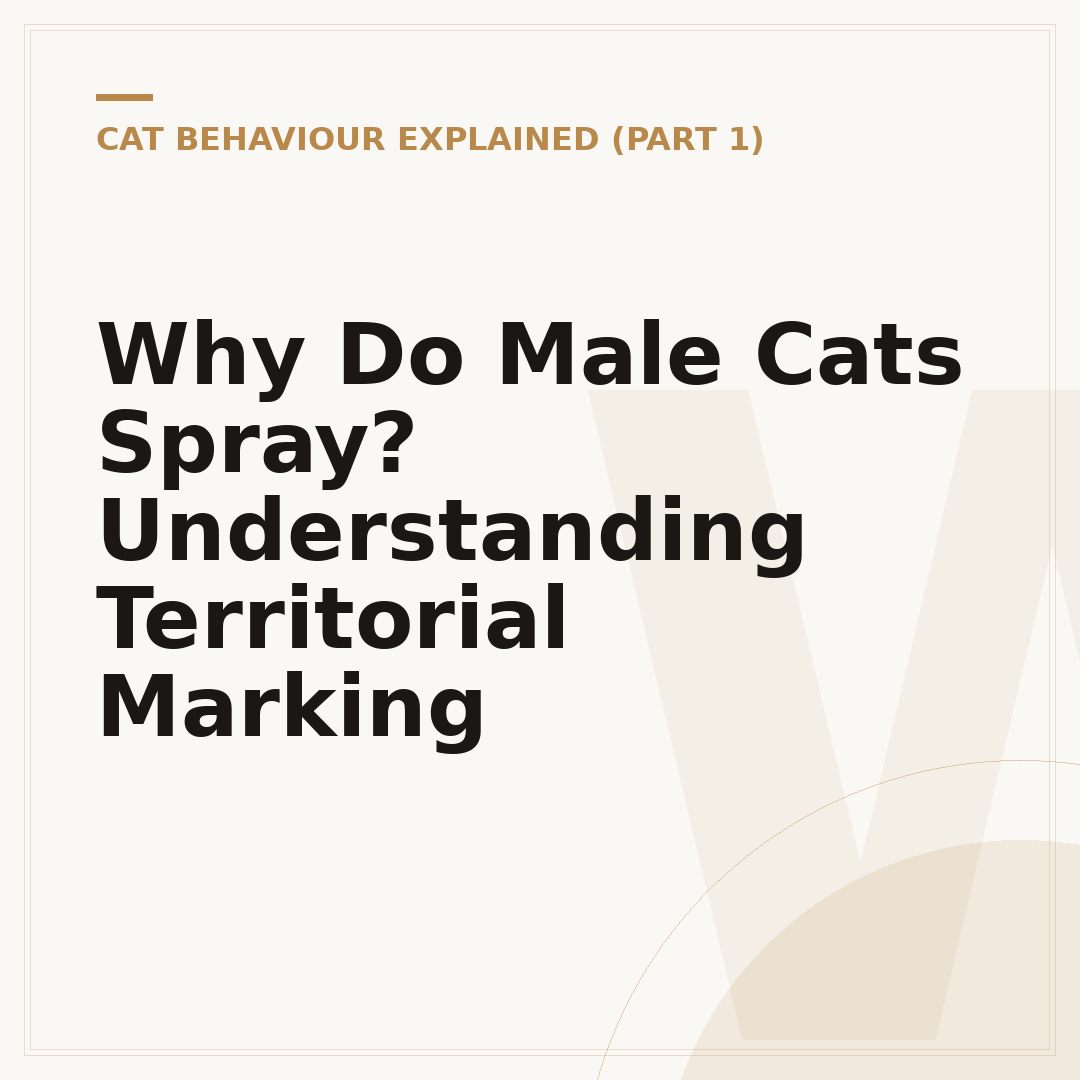 Why Do Male Cats Spray? Understanding Territorial Marking