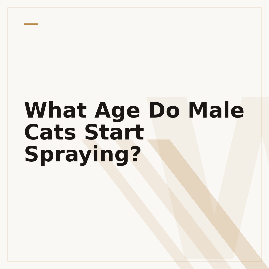 What Age Do Male Cats Start Spraying?