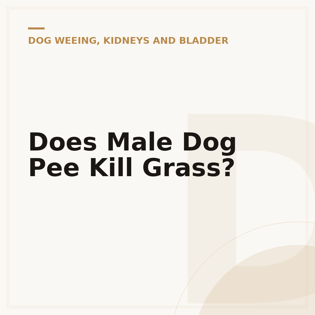 Does Male Dog Pee Kill Grass?