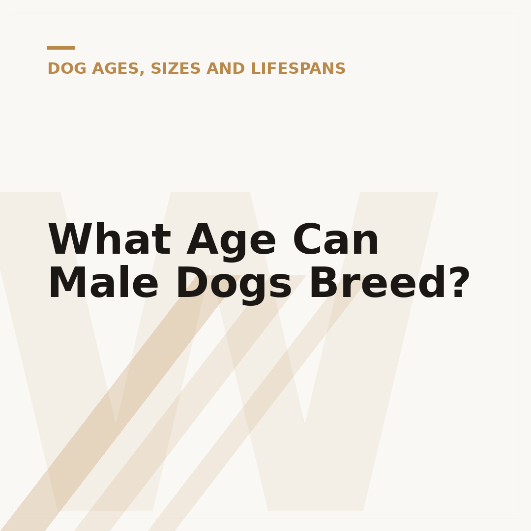 What Age Can Male Dogs Breed?