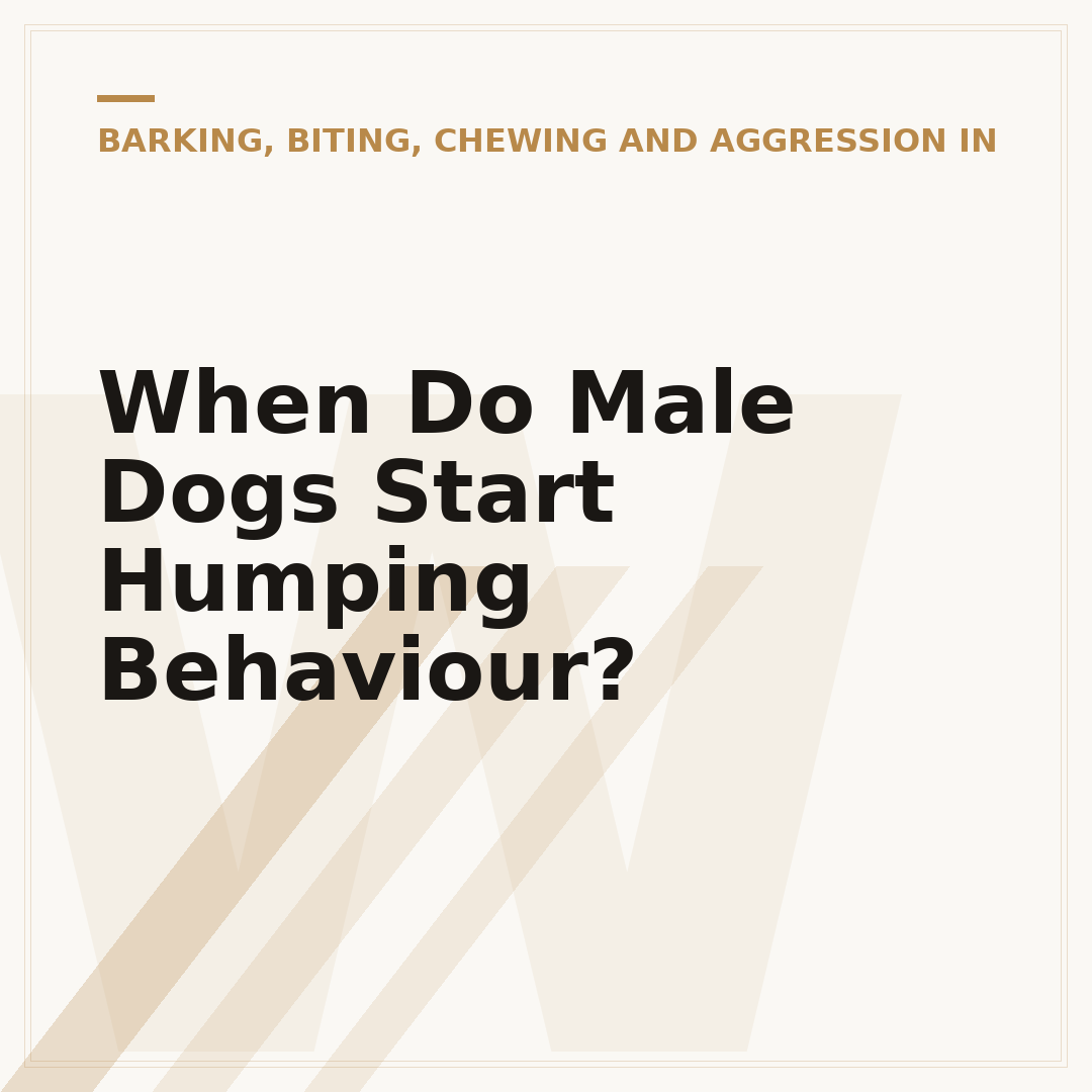 When Do Male Dogs Start Humping Behaviour?
