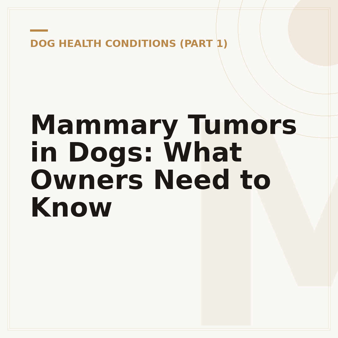 Mammary Tumors in Dogs: What Owners Need to Know