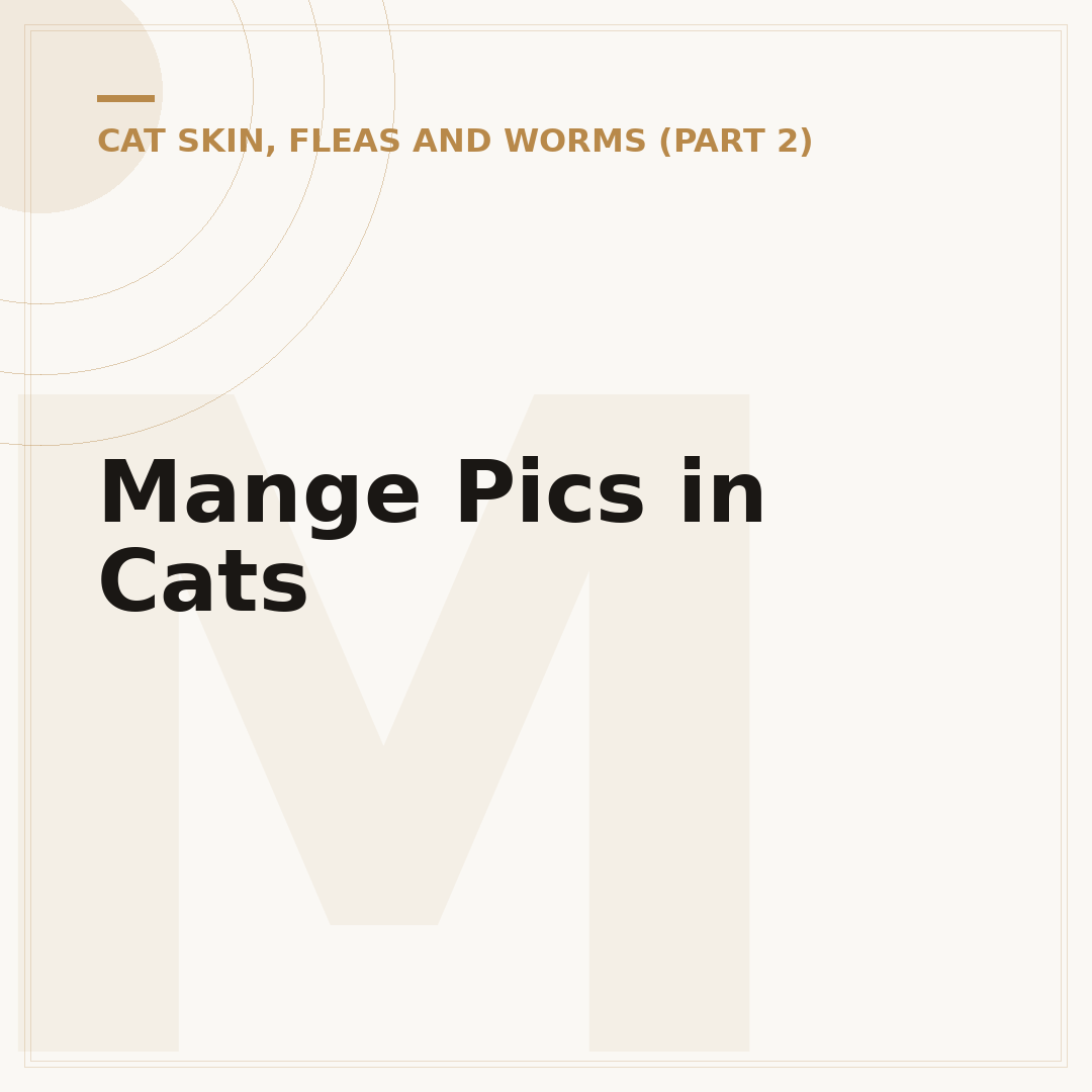Mange Pics in Cats