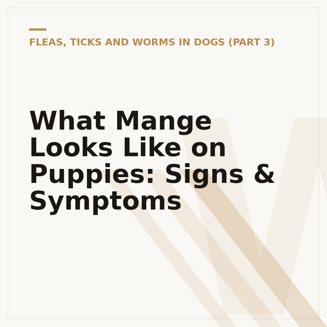 What Mange Looks Like on Puppies: Signs & Symptoms