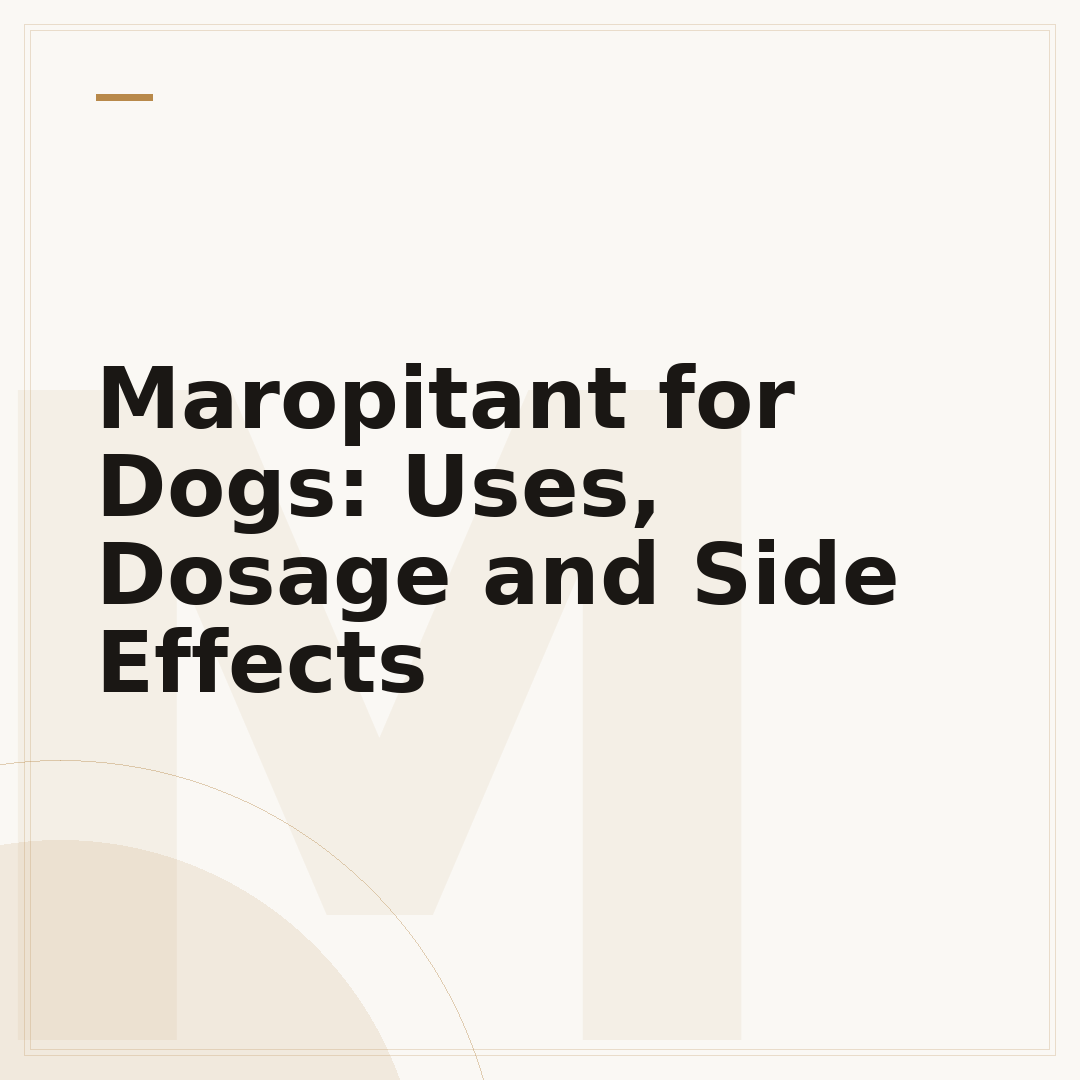 Maropitant for Dogs: Uses, Dosage and Side Effects