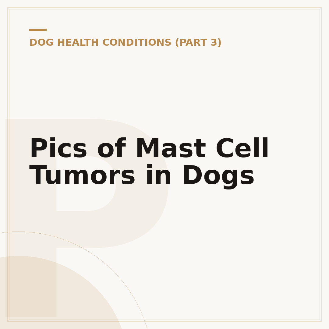 Pics of Mast Cell Tumors in Dogs