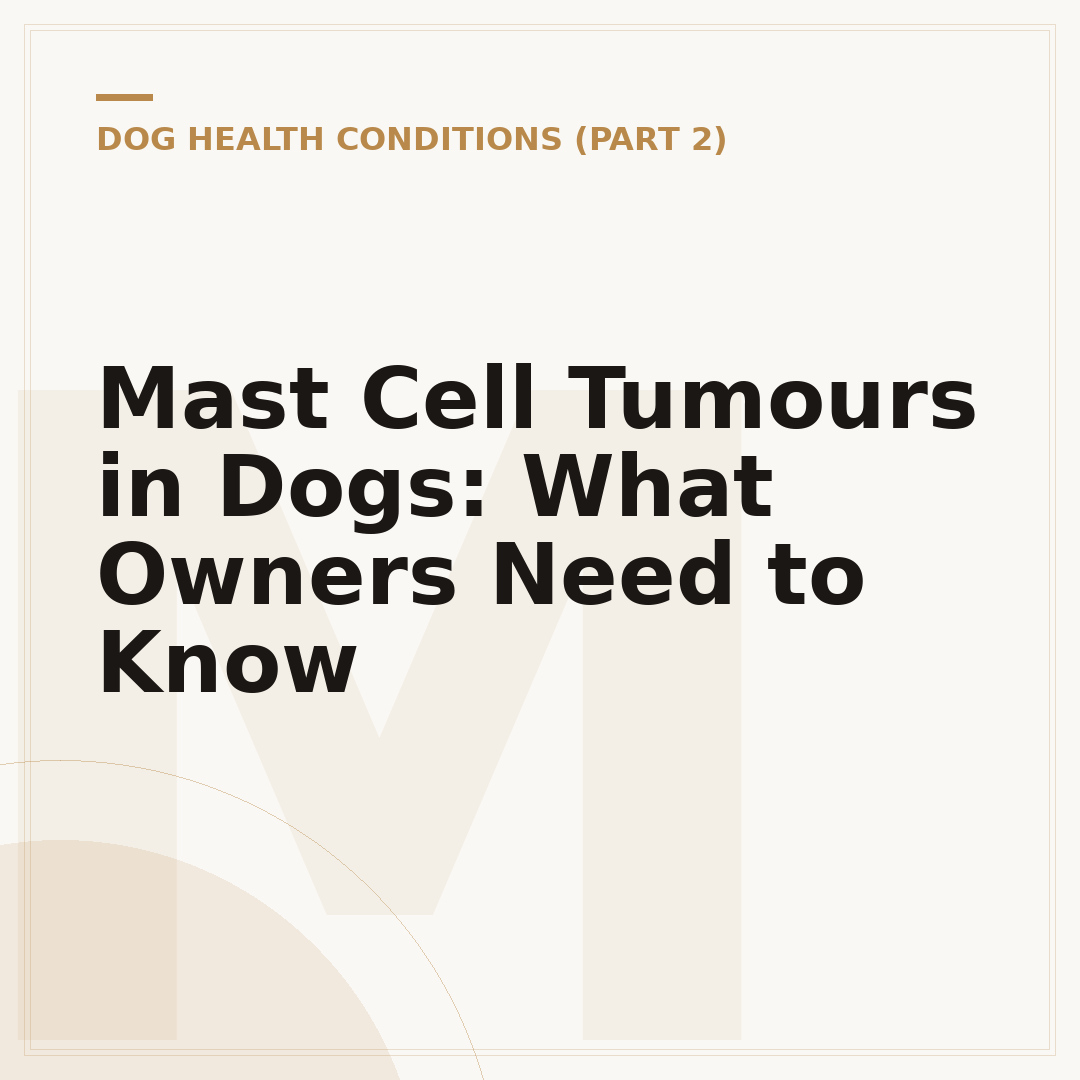 Mast Cell Tumours in Dogs: What Owners Need to Know