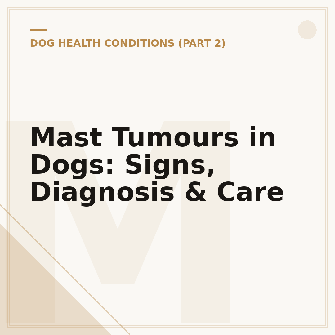 Mast Tumours in Dogs: Signs, Diagnosis & Care