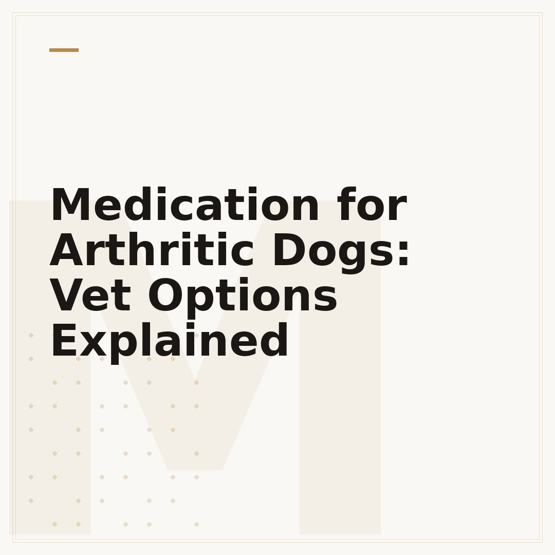 Medication for Arthritic Dogs: Vet Options Explained