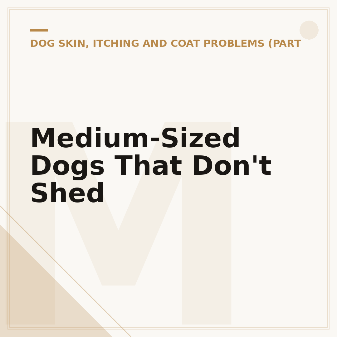 Medium-Sized Dogs That Don't Shed