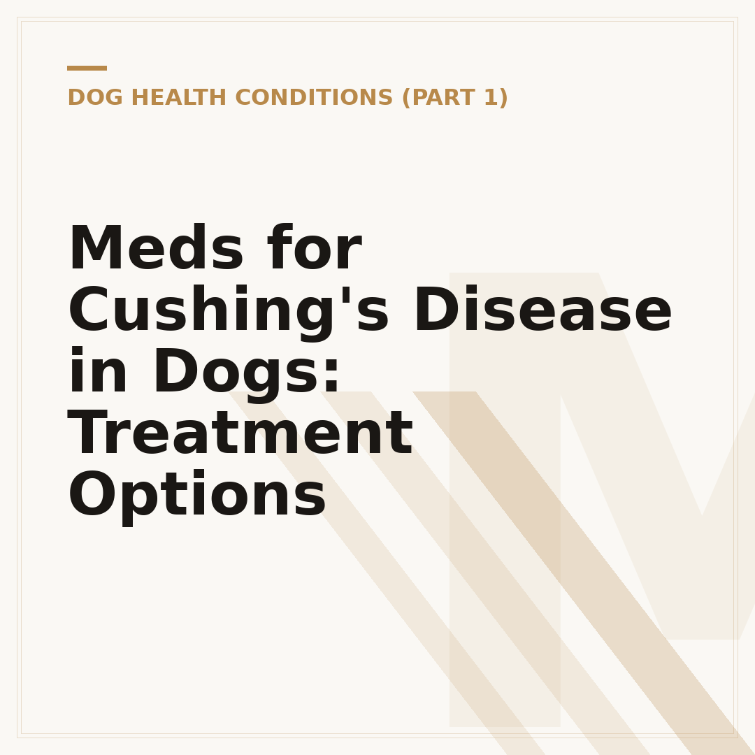 Meds for Cushing's Disease in Dogs: Treatment Options