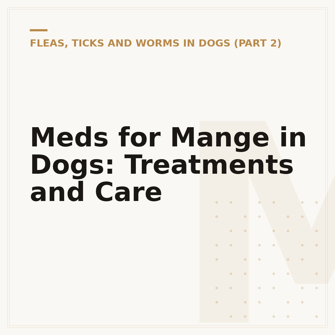 Meds for Mange in Dogs: Treatments and Care