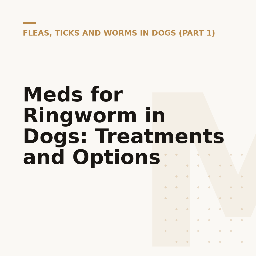 Meds for Ringworm in Dogs: Treatments and Options