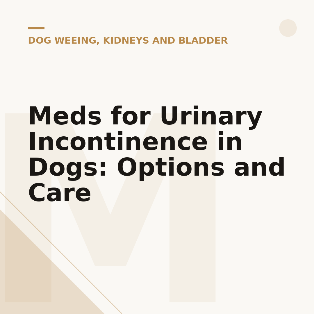 Meds for Urinary Incontinence in Dogs: Options and Care