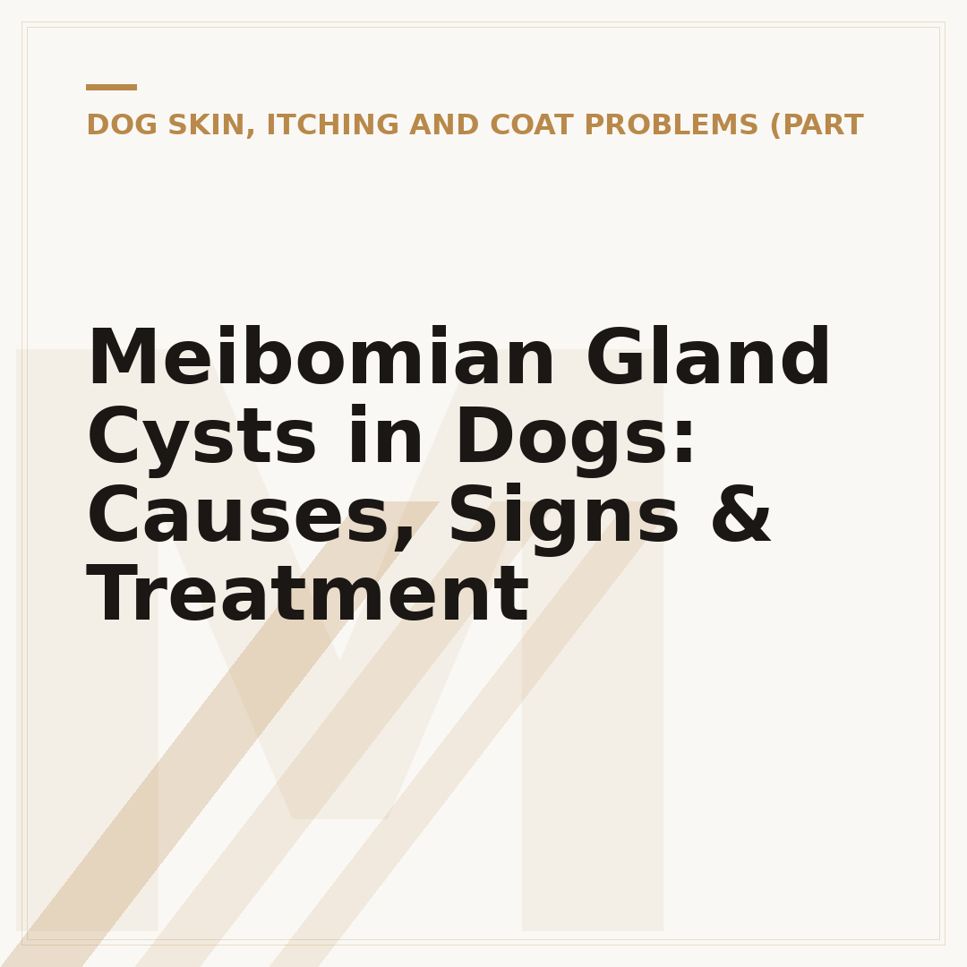 Meibomian Gland Cysts in Dogs: Causes, Signs & Treatment
