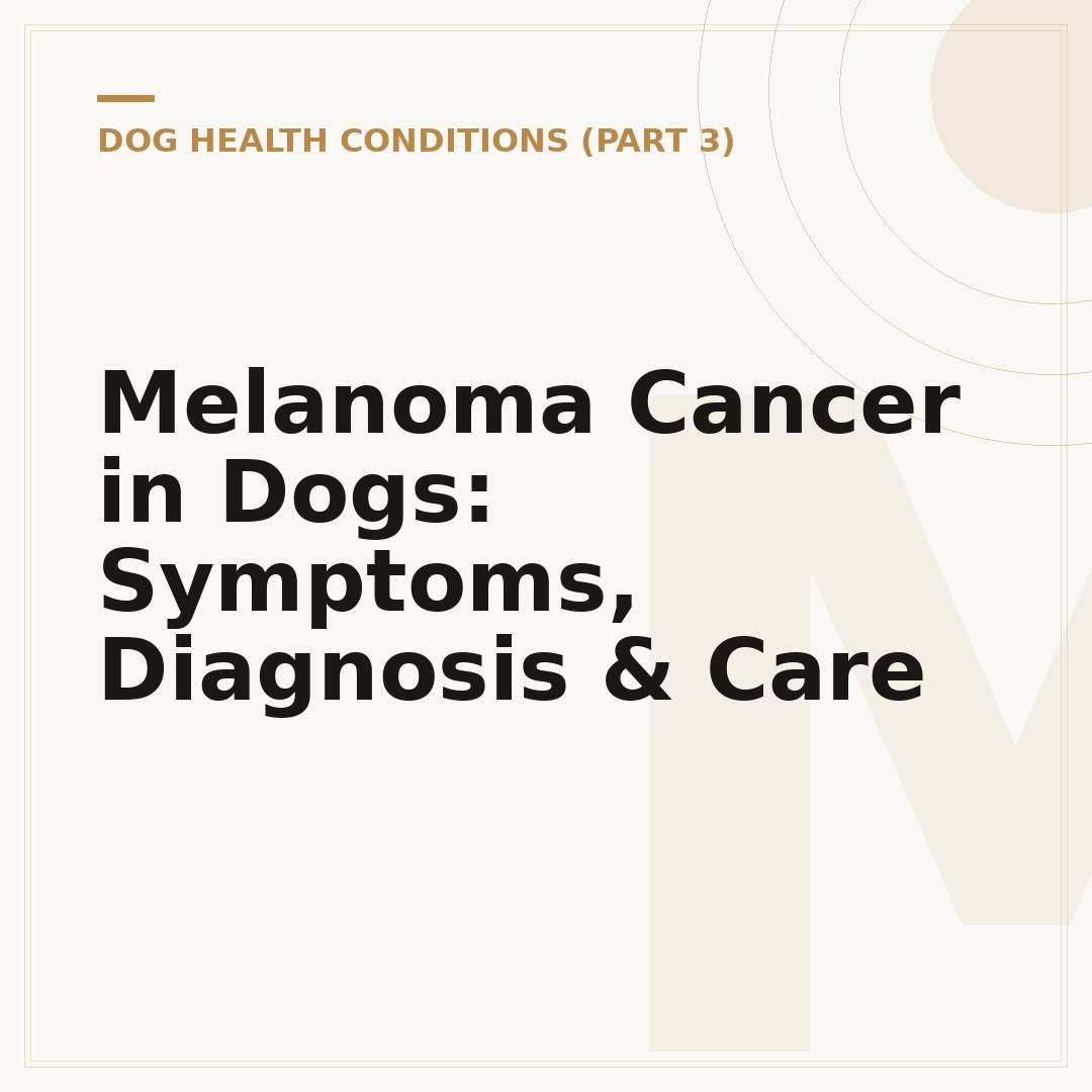 Melanoma Cancer in Dogs: Symptoms, Diagnosis & Care